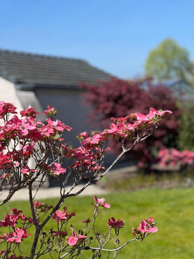 Ikigai Bed & Breakfast Oud-Turnhout Exterior photo