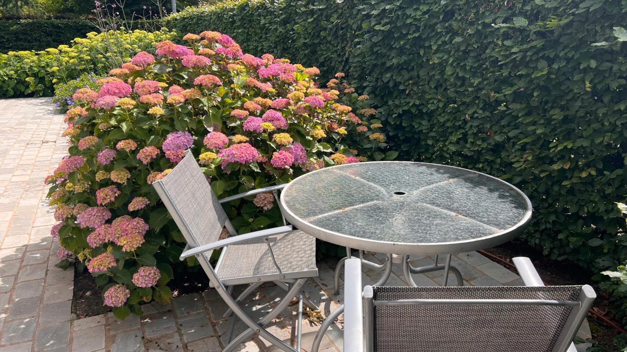 Ikigai Bed & Breakfast Oud-Turnhout Exterior photo